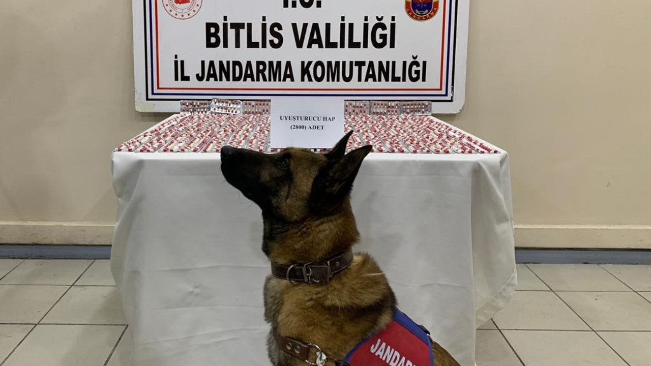 Yolcu otobüsündeki uyuşturucuyu narkotik köpeği 'Yakar' buldu