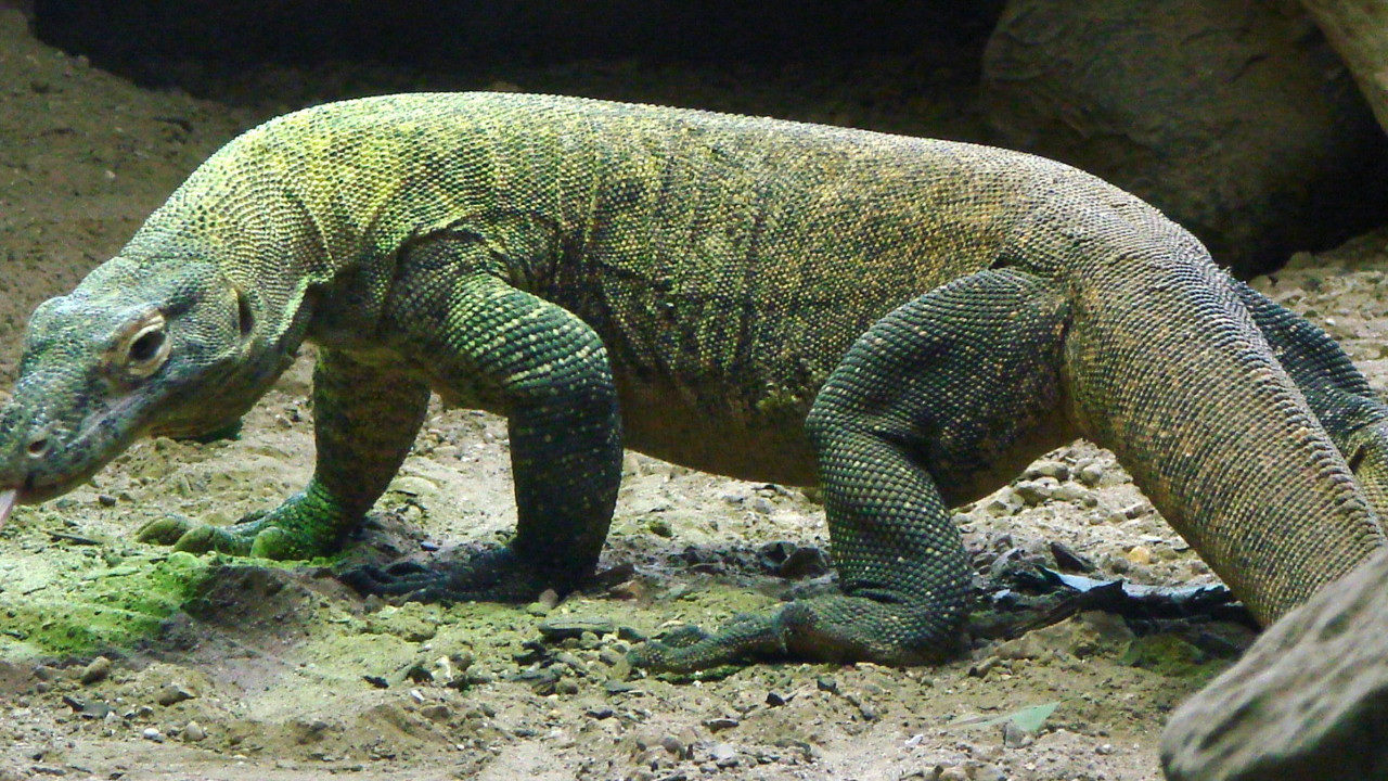 Akıllara durgunluk veren olay 4 avcı tecavüz etti