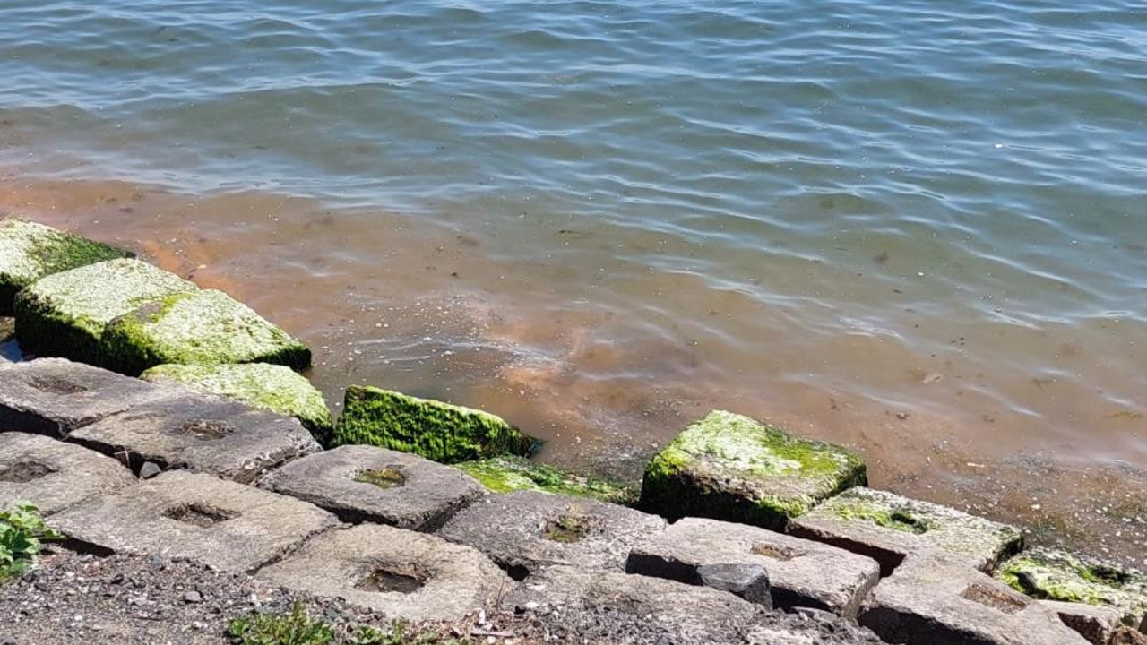 Korkulan oldu Marmara Denizi'nin rengi değişti