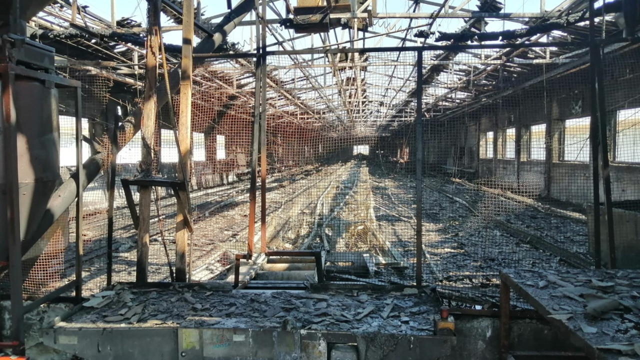 Çiftlikte yangın çıktı, 4 bin tavuk telef oldu