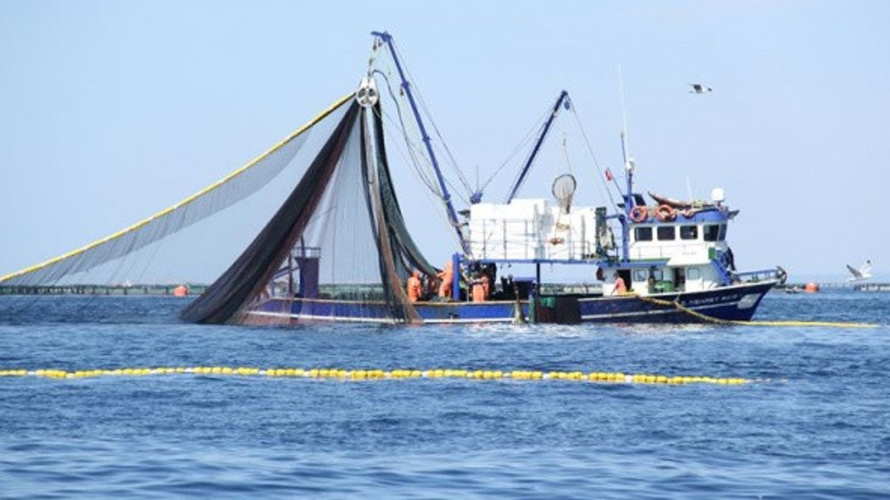 Denizlerde av yasağı başladı (15 Nisan 2022)