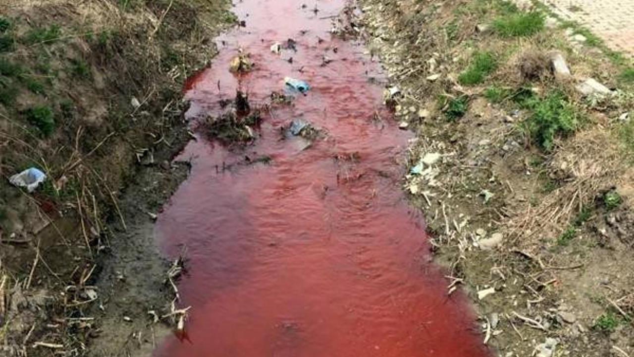 Tekirdağ'da 40 gün sonra yine aynı görüntü. Marmara Denizi'ne dökülüyor
