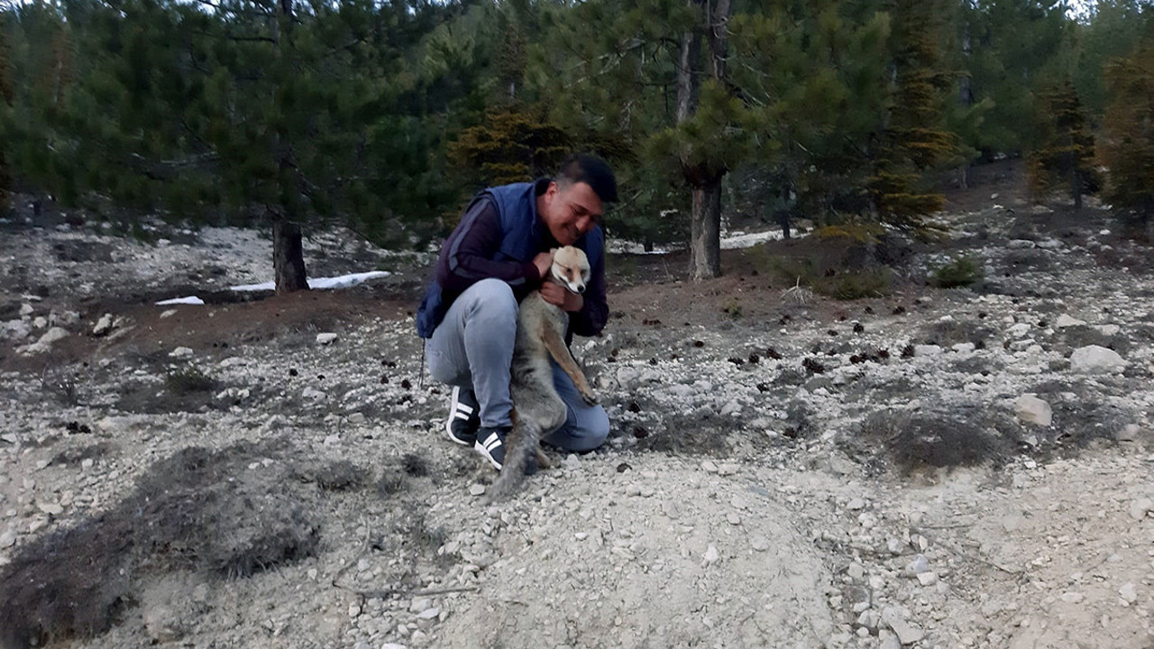 Tilki ile itfaiyecinin şaşırtan dostluğu! ‘Oğlum’ diye seslenince yanına geliyor…