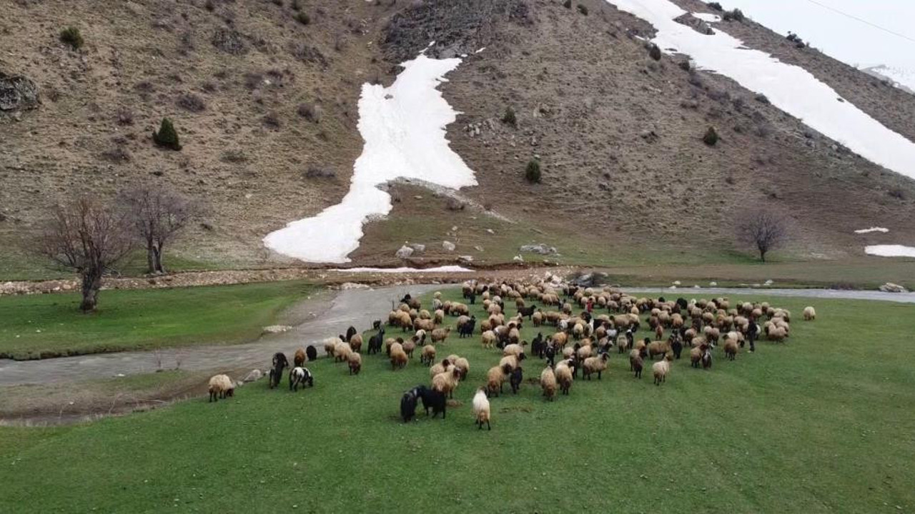 Dağların bir yanı kar bir yanı bahar