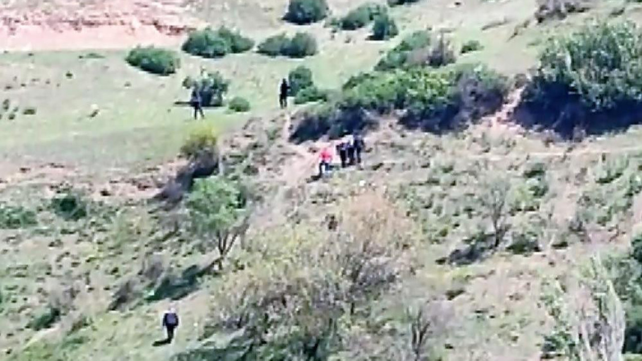 Çalıların arasında insan avı