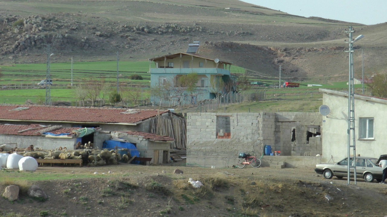 Hayvan sulatma meselesi kanlı bitti: 1 ölü, 2 yaralı