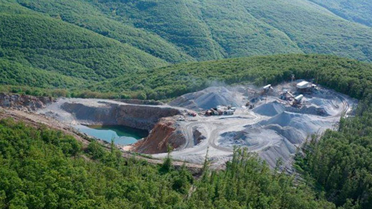 Ülkenin yarısı onlara ruhsatlandırıldı