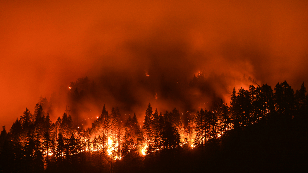 Orman Genel Müdürü açıkladı: Orman yangınlarında bu yıl kaç helikopter ve uçağımız var