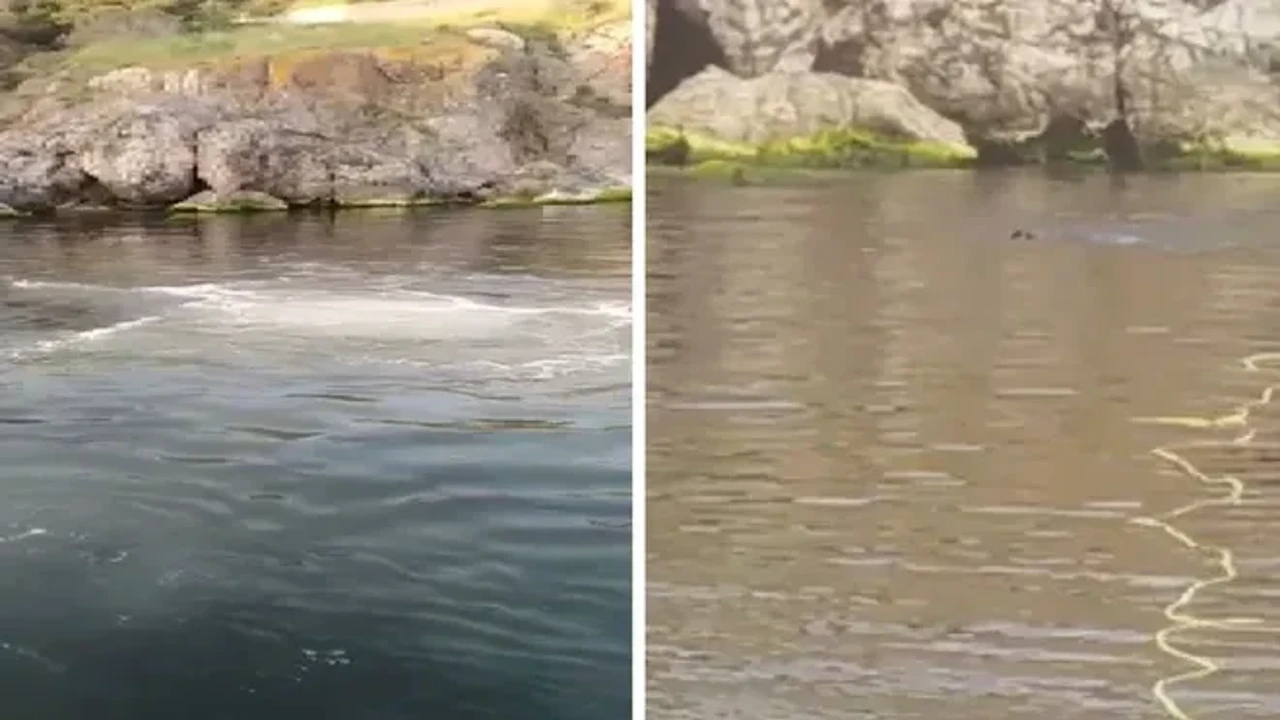 Heybeliada'da denize lağım suyu karıştı