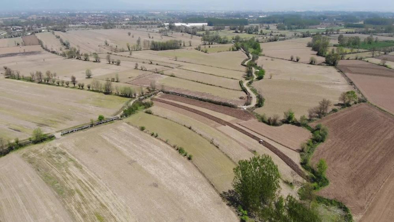 Düzce'de "Ne ekersen onu biçersin" atasözü kara toprakta gerçekleşti