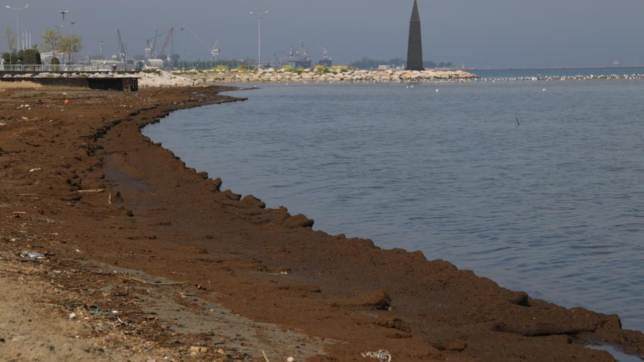 Denizden geldi. Sahile kimse inemiyor