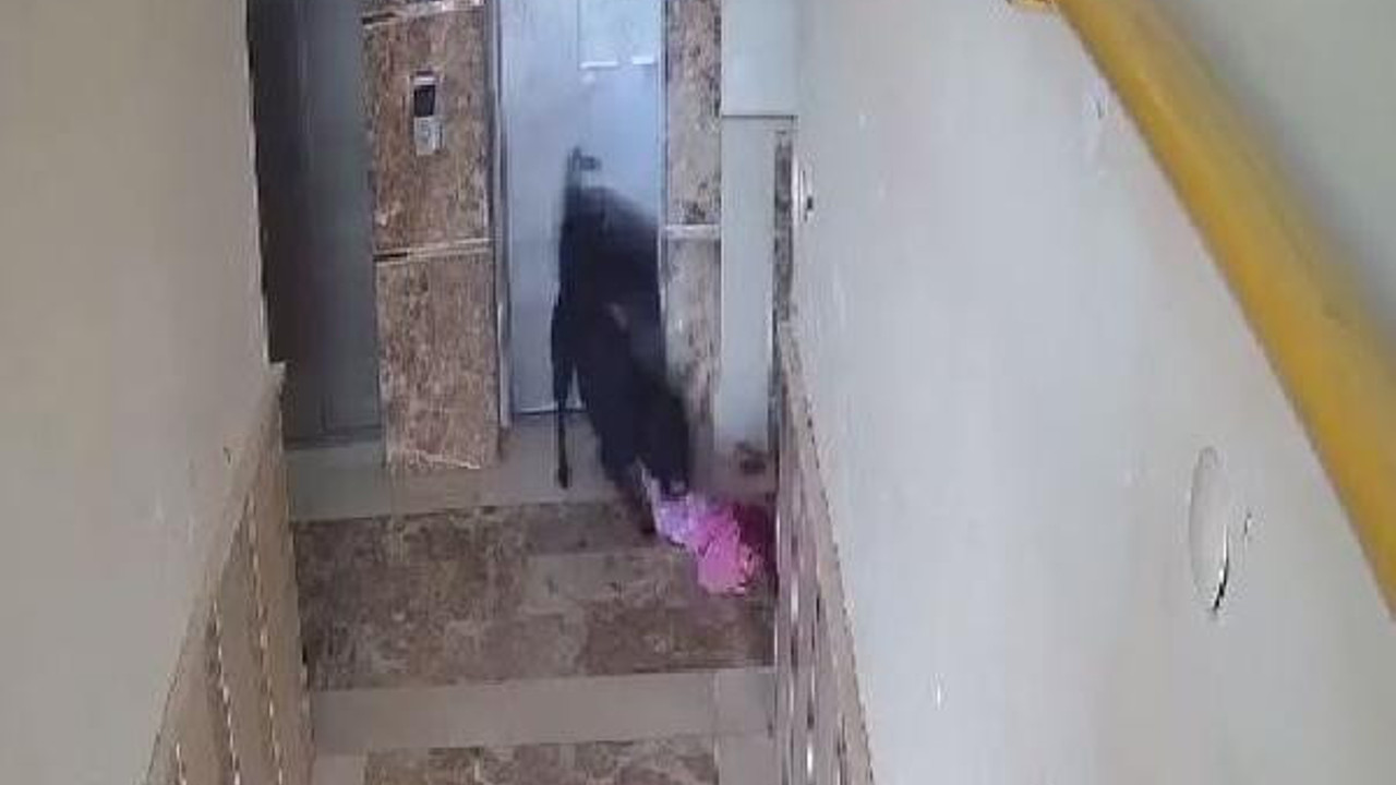 5 yaşındaki çocuğa apartmanda oynarken köpek saldırdı! Küçük kız kanlar içinde kaldı. Bu terörü artık durdun