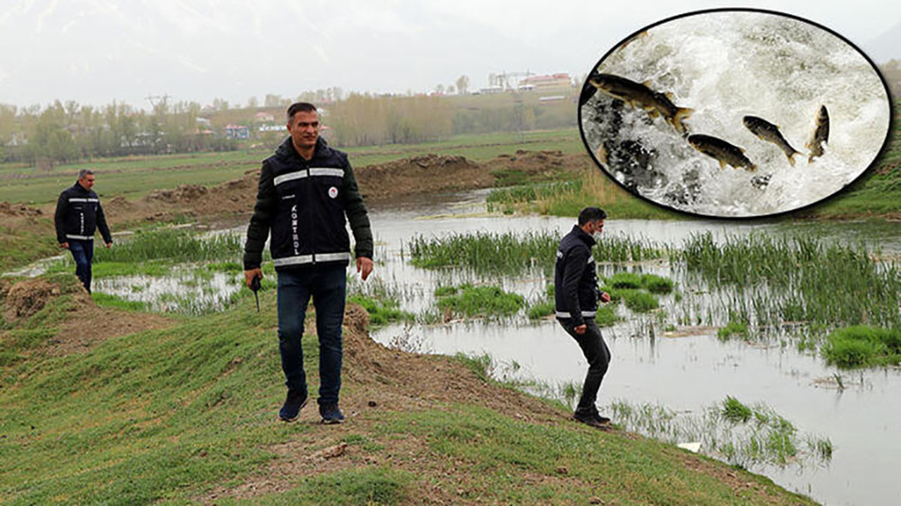 İnci kefali için bayramda da gece gündüz denetim