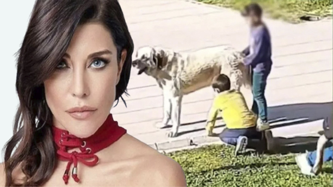 Deniz Akkaya: Bu çocukların toplatılmasını talep ediyoruz