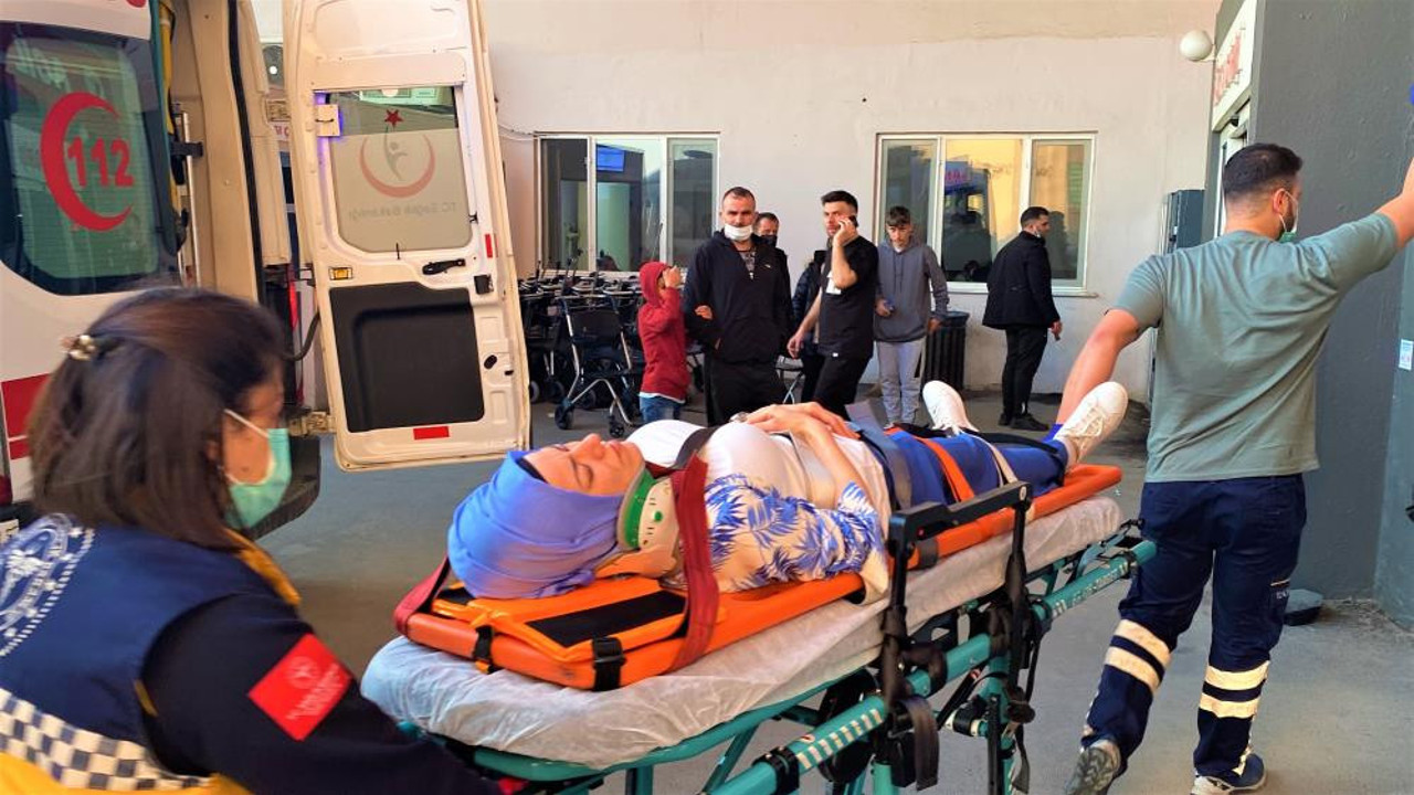 Martıya binen kadın hastanelik oldu