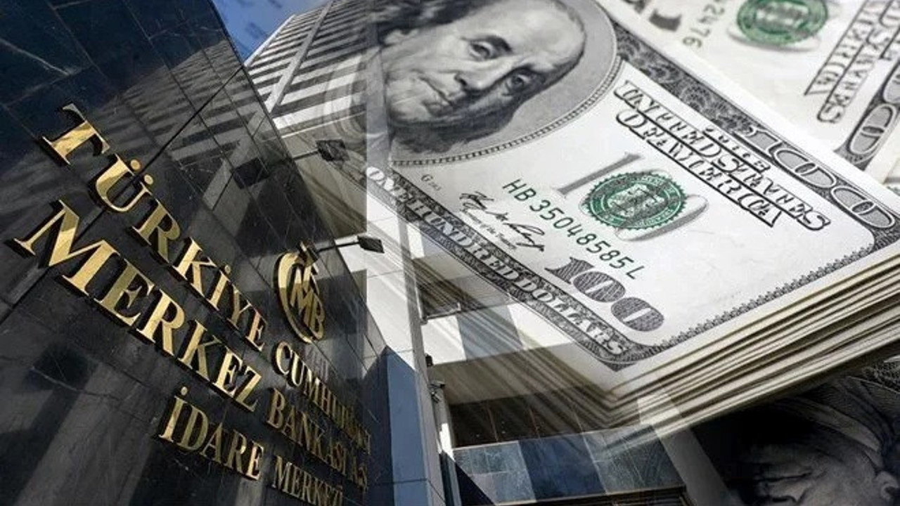 FED’in Türk ekonomistinden Merkez Bankası için kritik uyarı. Döviz rezervleri için ne yapılması gerektiğini açıkladı