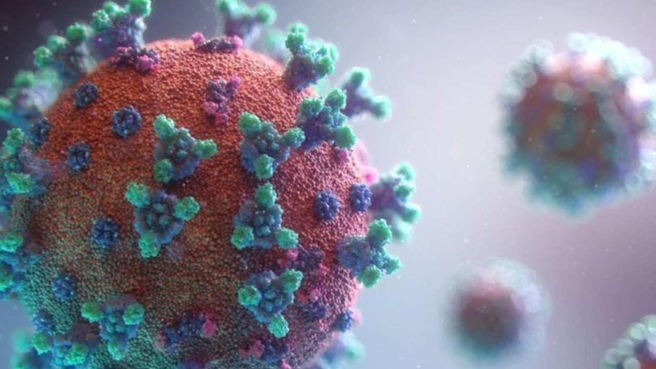 Yeni salgın korkuttu | Vaka sayılarında korkunç artış