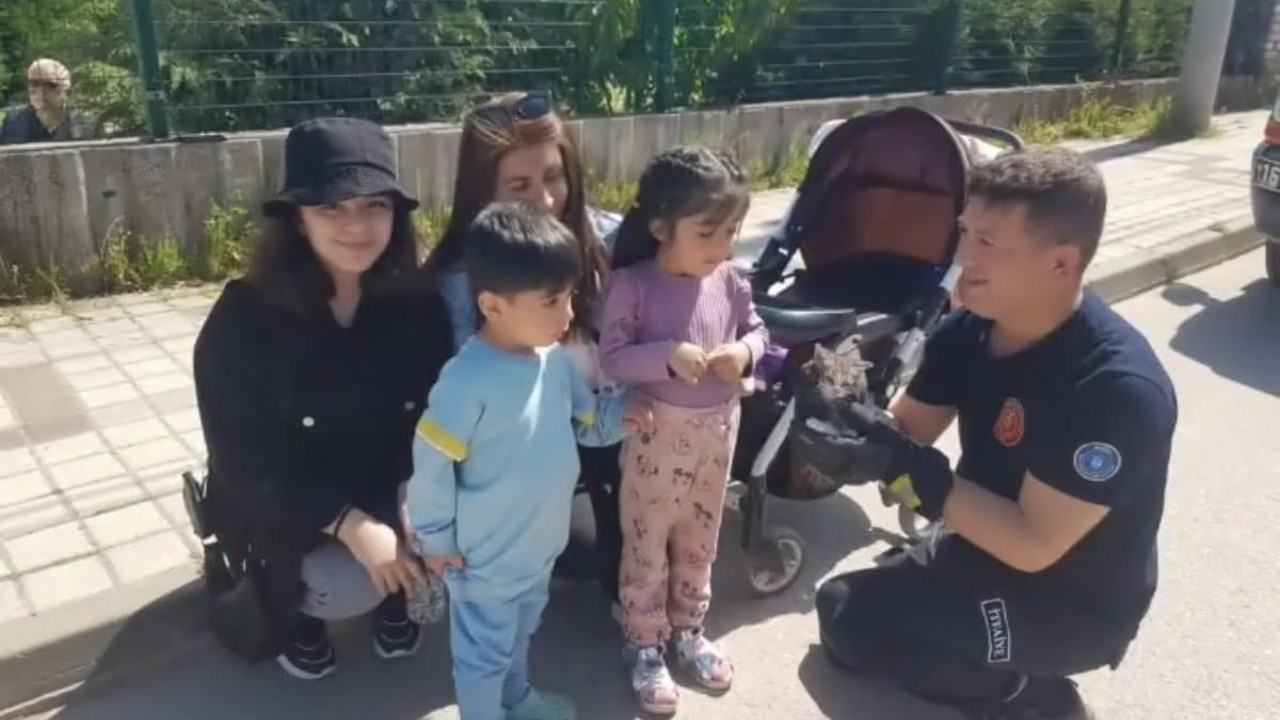 İki duvar arasına sıkışan yavru kedi kurtarıldı