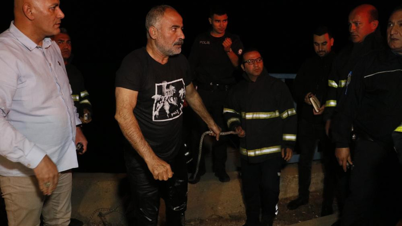 El ele tutuşup köprüden atladılar