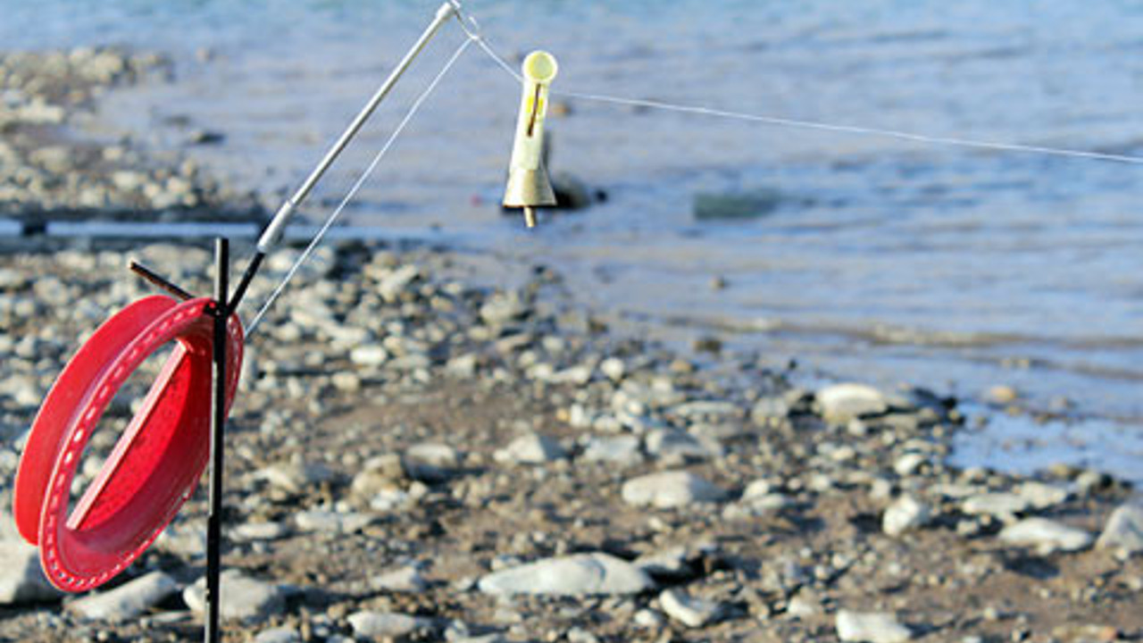 Bir tondan fazla kaçak sazan ele geçirildi