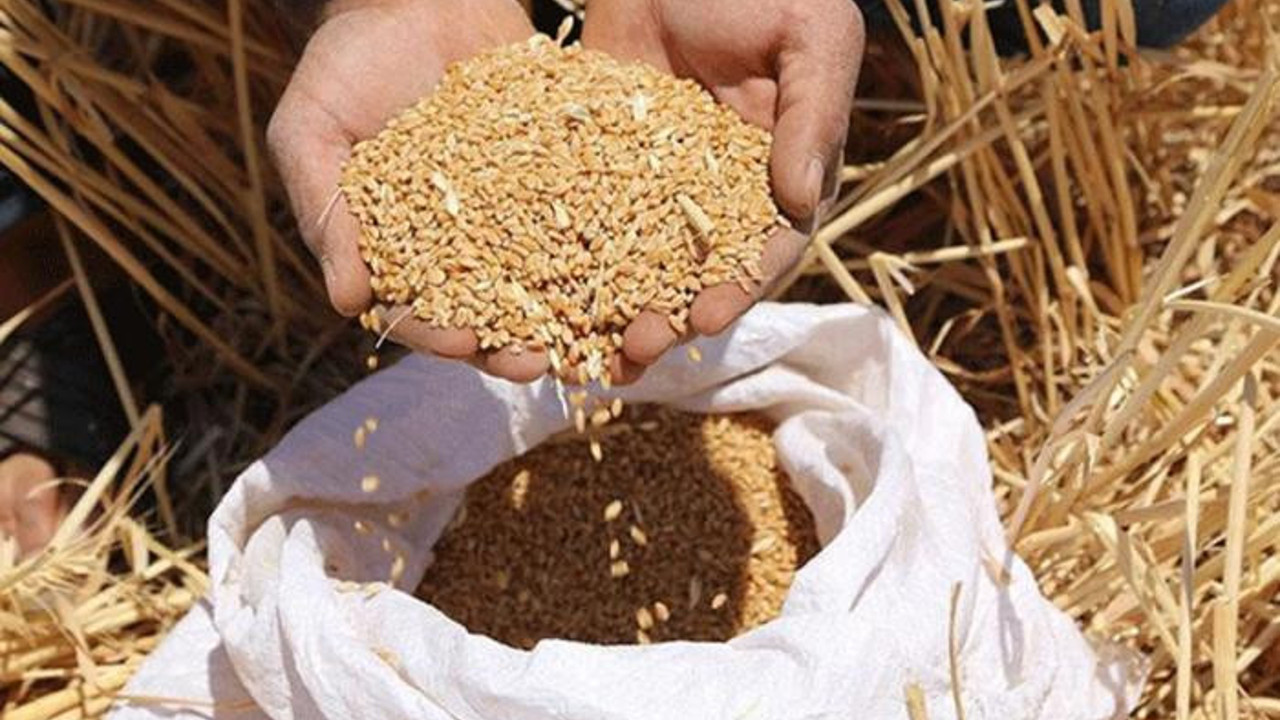 Küresel gıda krizine karşı AB'den acil eylem planı