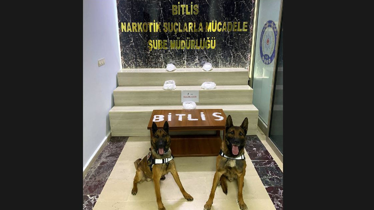 Otomobildeki uyuşturucuyu 'Buffy' ve 'Dark' buldu