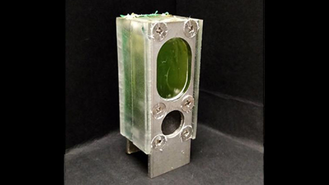 Elektriksiz günlerce çalışıyor: Fotosentez yapan bilgisayar üretildi