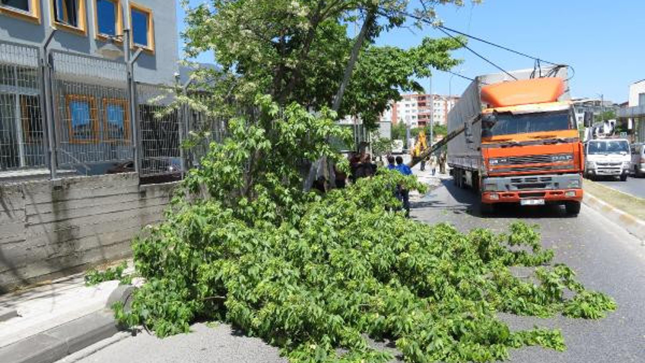 Tellere takılan TIR elektrik direklerini devirdi