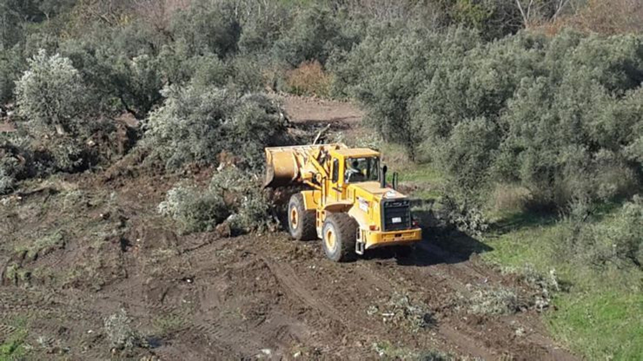İktidar, enerji ihtiyacını milli kaynaklardan karşılamak ve dışa bağımlılığı azaltmak için zeytinliklere kıymaya karar vermiş