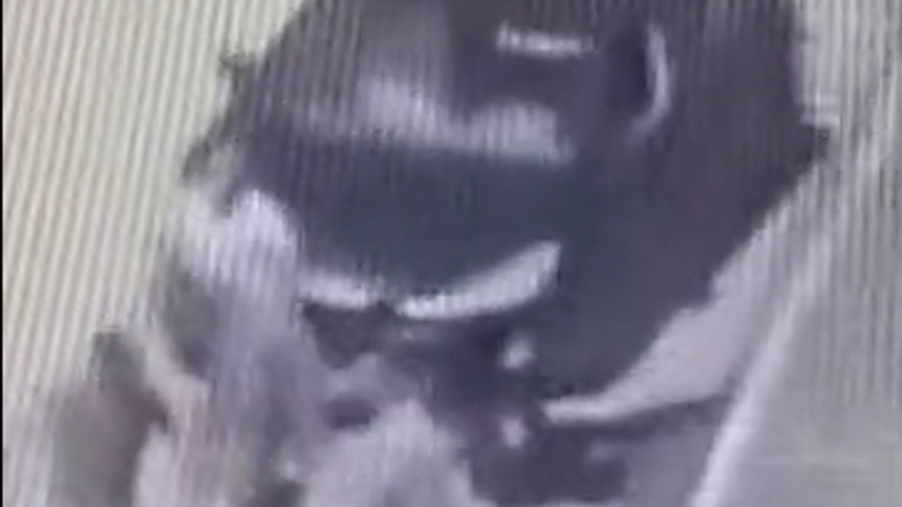 Sokak hayvanlarını besleyen tiyatro sanatçısına dehşeti yaşattılar!