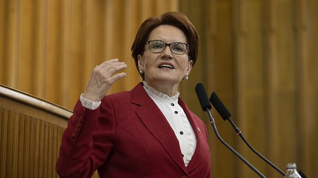 Meral Akşener: Bu seçimlerde elbette 'cirleklik' yapmak isteyeceklerdir!