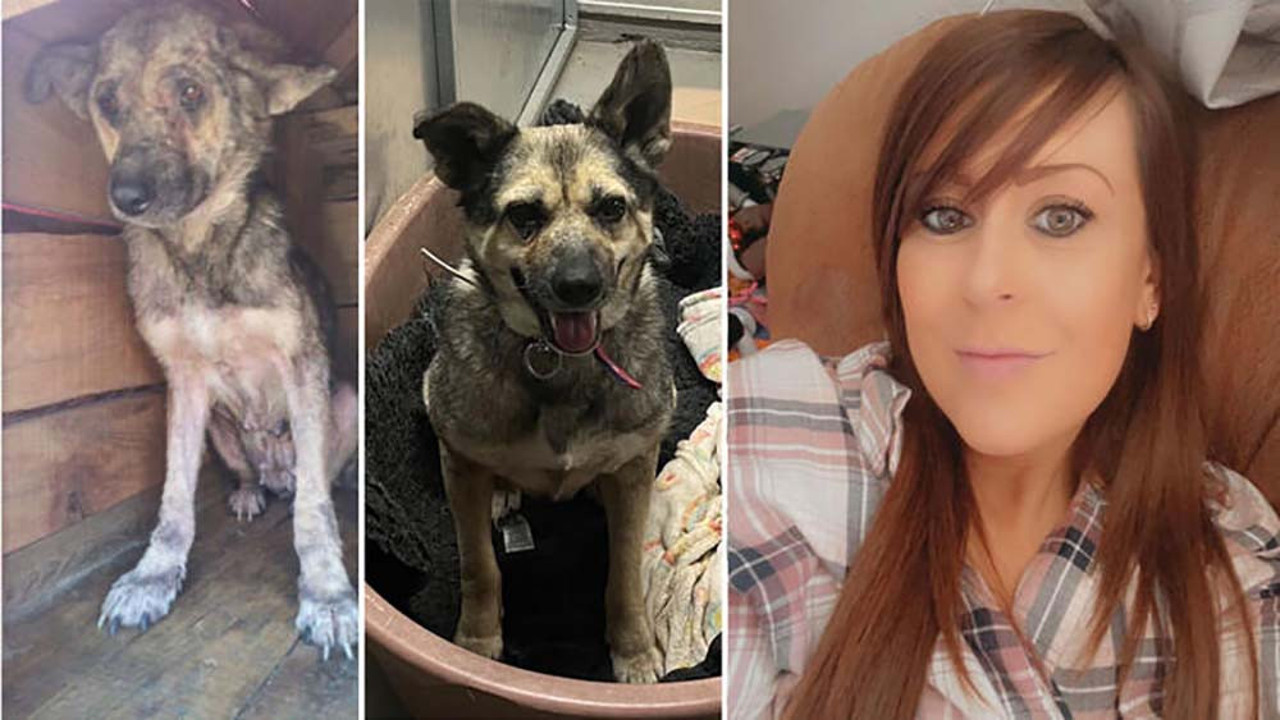 ‘Poppy’ Zonguldak’tan Londra’ya gitti! Sosyal medya kaderini değiştirdi…