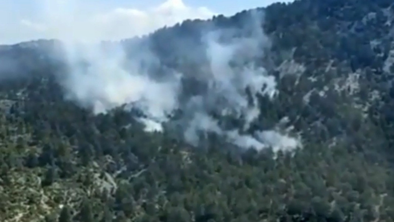 Antalya'da iki noktada orman yangını