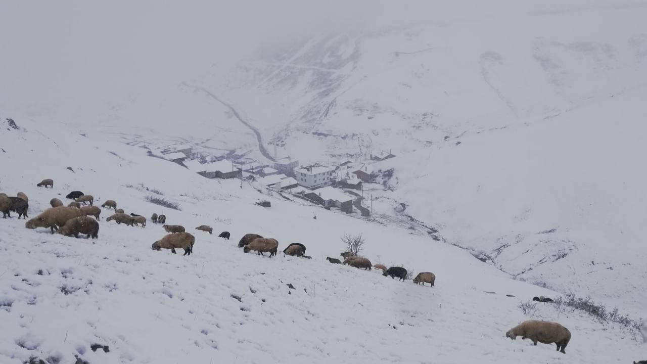 Bayburt'ta ‘mayıs’ karı