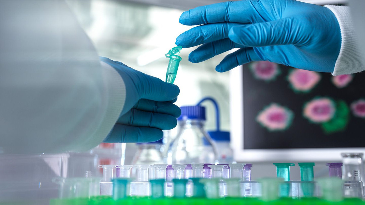 Avrupa'da bir ülkede daha maymun çiçeği vakası tespit edildi