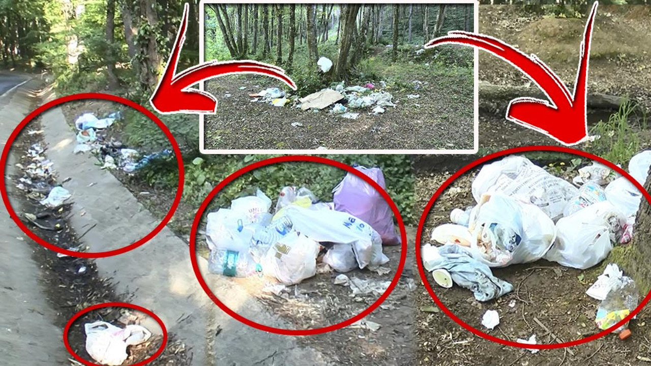 Buradan insan geçti! Belgrad Ormanı'nı çöplüğe çevirdiler…