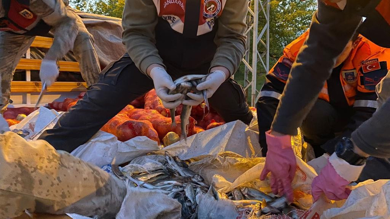 Üreme göçü devam eden inci kefalleri avlayanlara ceza yağdı. Tam 11 ton