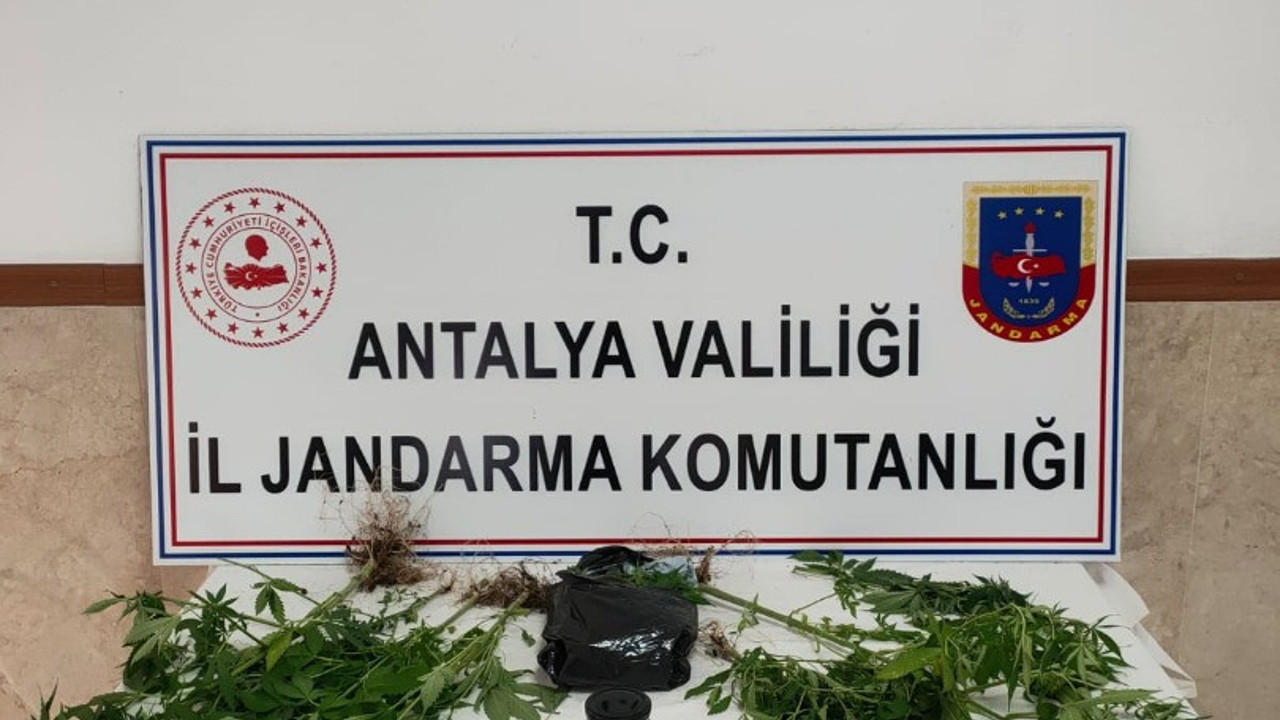 Yasadışı kenevir yetiştiren bir eve operasyon