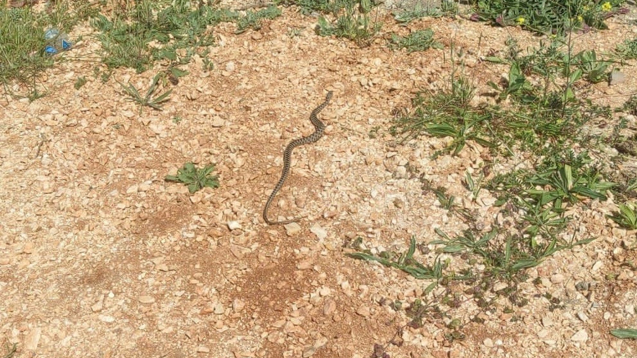 Çamaşır makinesinin kapağını açan işçi çığlığı bastı. Bağırış sesi iş yerinde yankılandı. Kirlenmiş giysileri yıkayacaktı