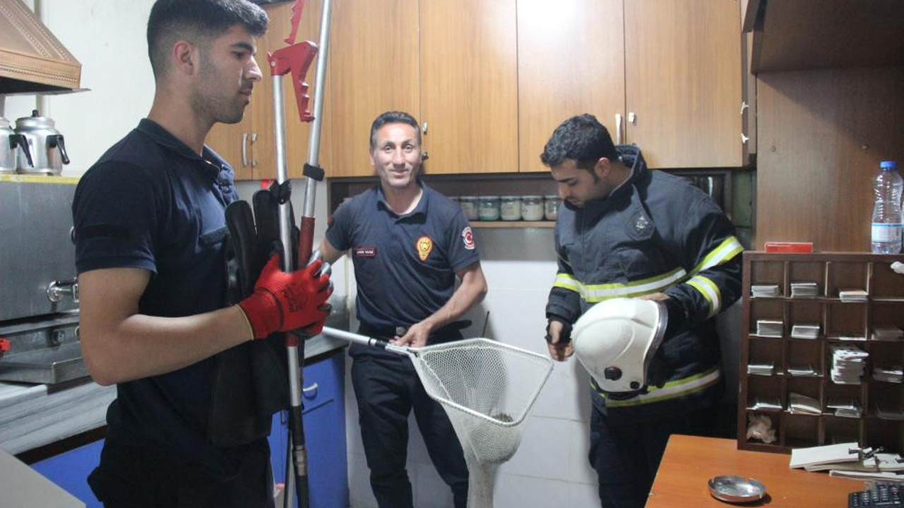 Kahvehaneci gördü okey masası dağıldı. İtfaiye yardımlarına koştu