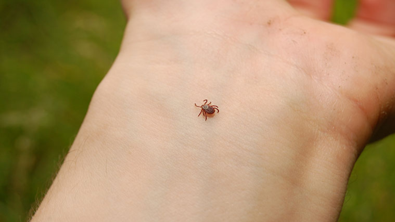 Tokat'ta 4 kişiye KKKA teşhisi kondu