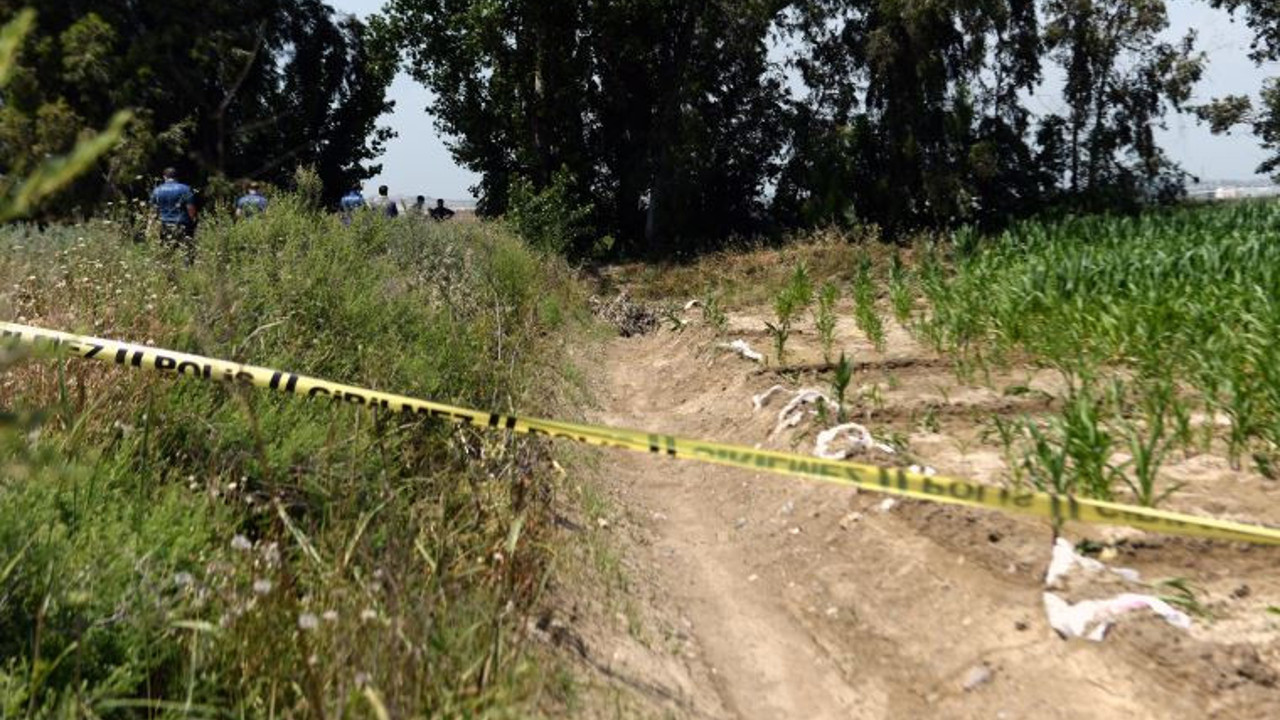 Tarlada erkek cesedi bulundu