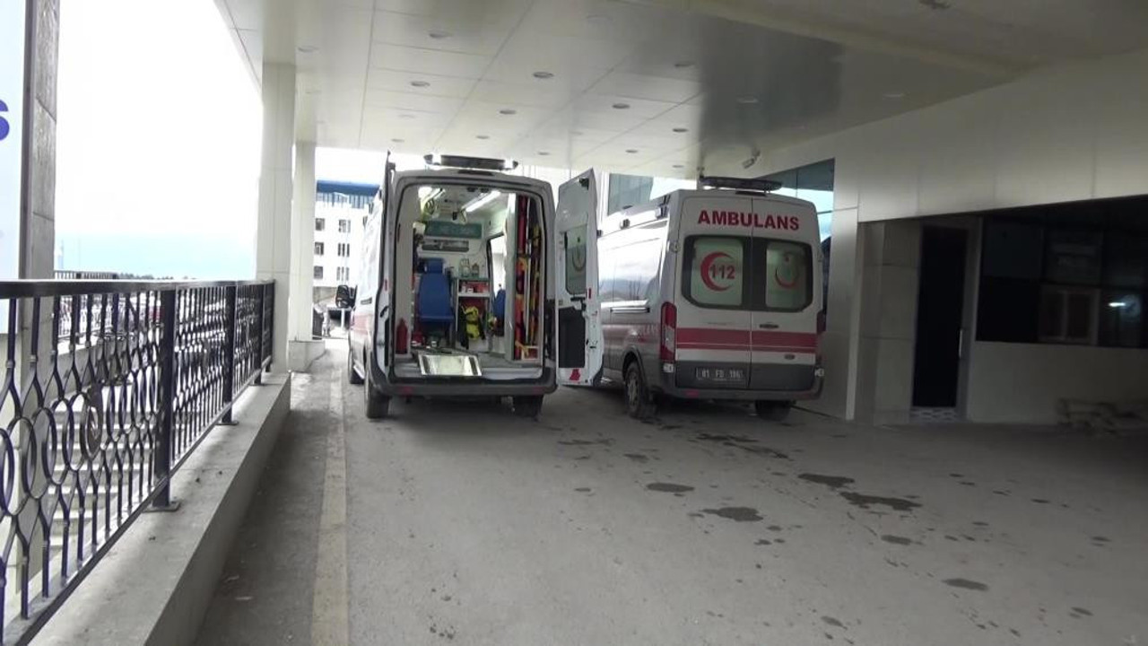 Düzce'de anne ile 3 çocuğu hastanelik oldu