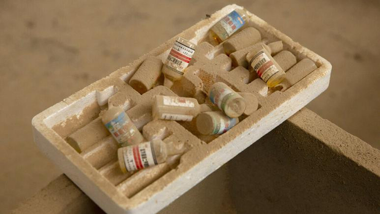 Vietnam dünyanın ilk domuz vebası aşısını geliştirdi