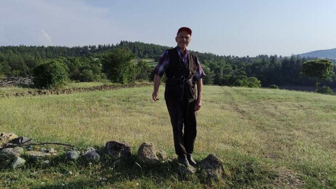 Çalındıktan sonra Mor Jade taşlarının değerini öğrendi büyük serveti kaçırdı