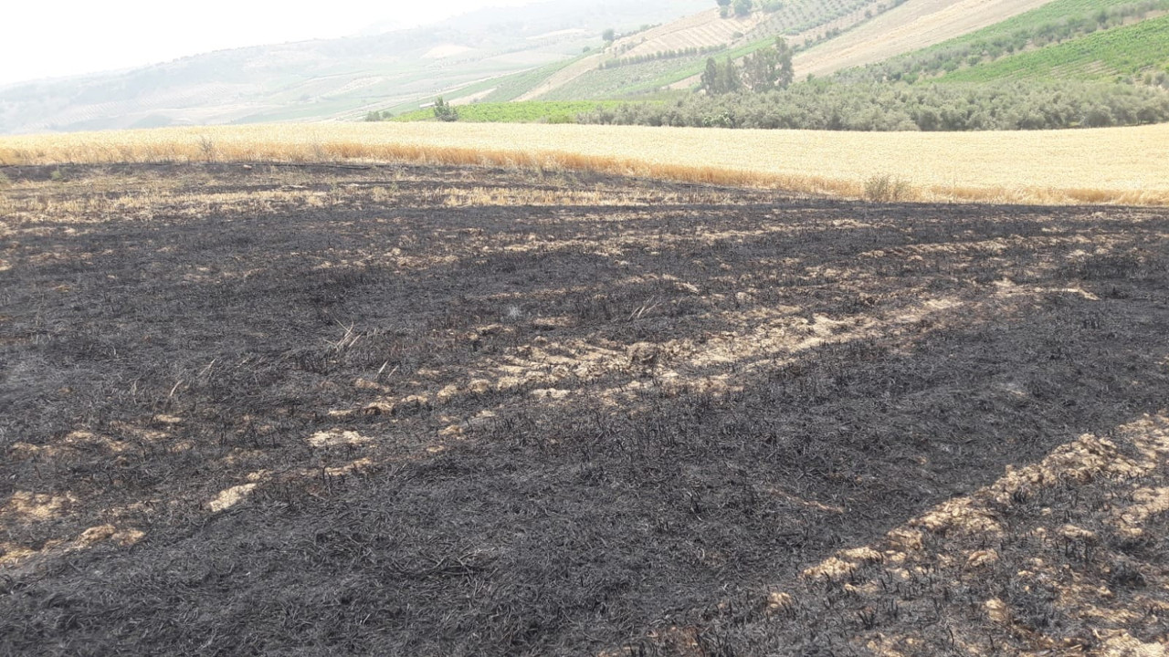 12 dönümlük buğday tarlası yandı