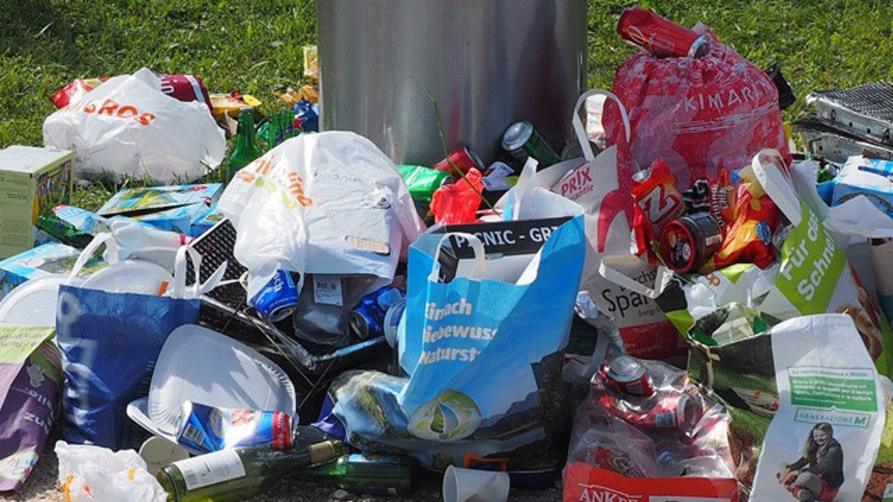 İstanbul'da doğayı kirleten atıklar toplandı