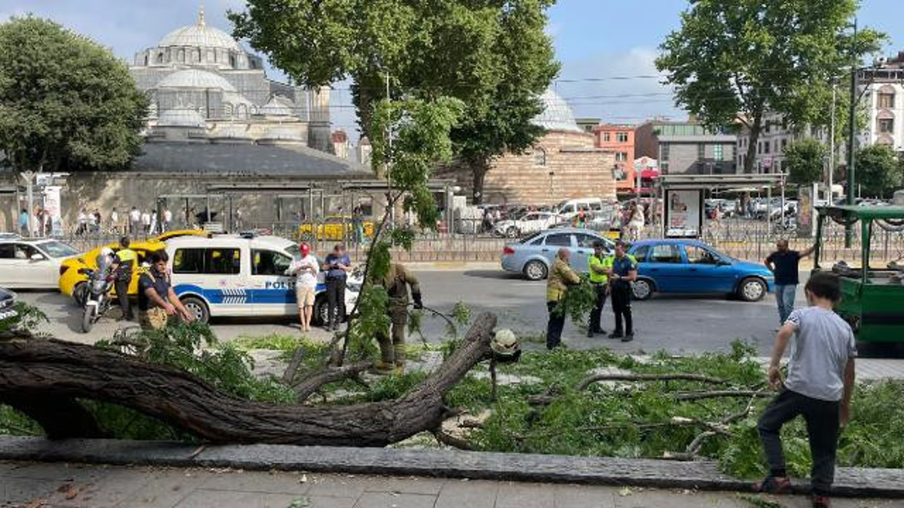 Beyoğlu'nda bir ağacın devrilmesi sonucu yaralanan 3 kişi hastaneye kaldırıldı
