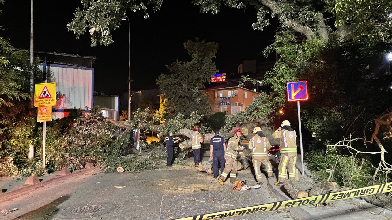 Sancaktepe'de devrilen ağaç metro inşaatı alanına düştü