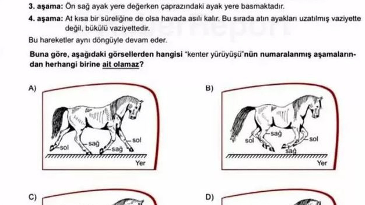 LGS’nin at sorusu tartışmasına eğitimciler noktayı koydu. İşte sorunun cevabı